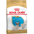 Сухий корм для цуценят породи Французький бульдог ROYAL CANIN FRENCH BULLDOG PUPPY (домашня птиця), 1 кг